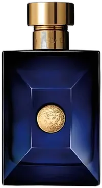 Versace Dylan Blue